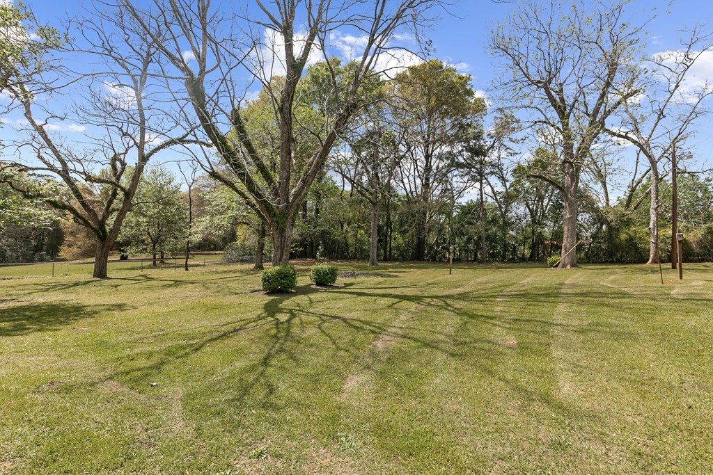 184 S College St, Newton, Alabama image 15