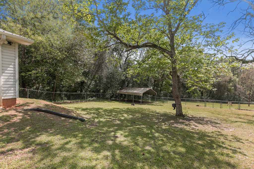 184 S College St, Newton, Alabama image 16