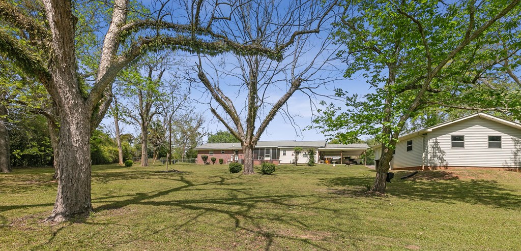 184 S College St, Newton, Alabama image 13