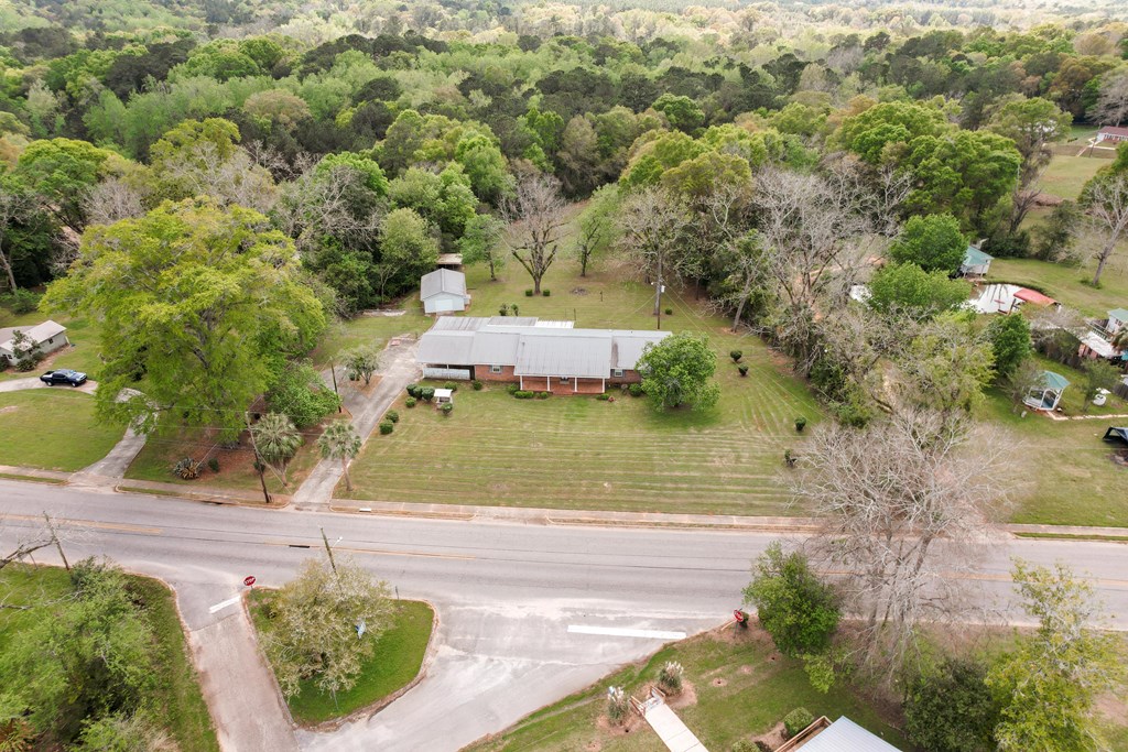 184 S College St, Newton, Alabama image 2