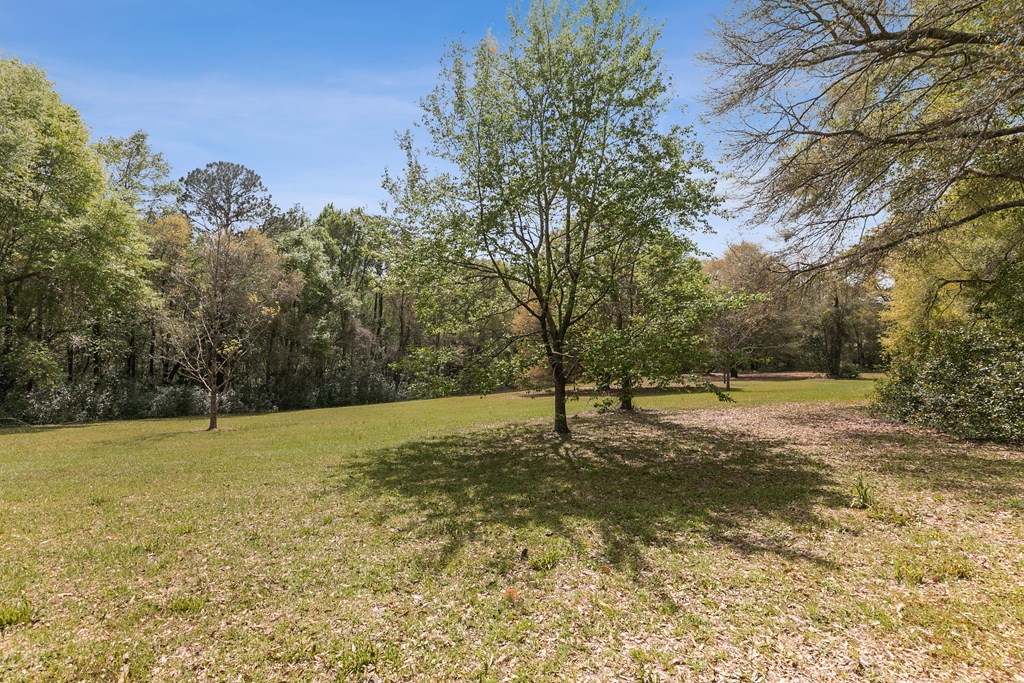 184 S College St, Newton, Alabama image 12