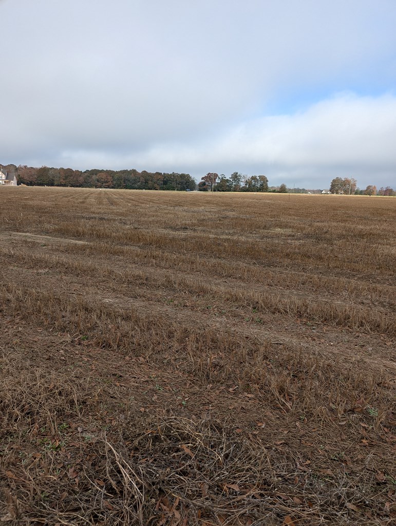 County Road 9, Headland, Alabama image 7