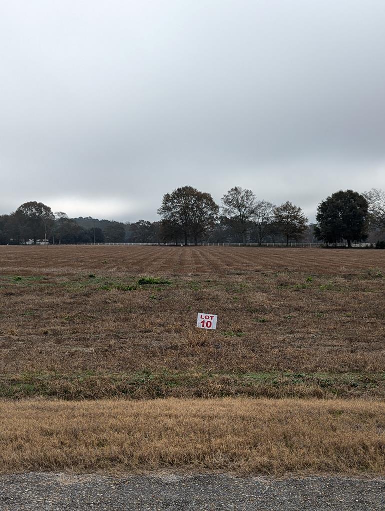 County Road 9, Headland, Alabama image 1