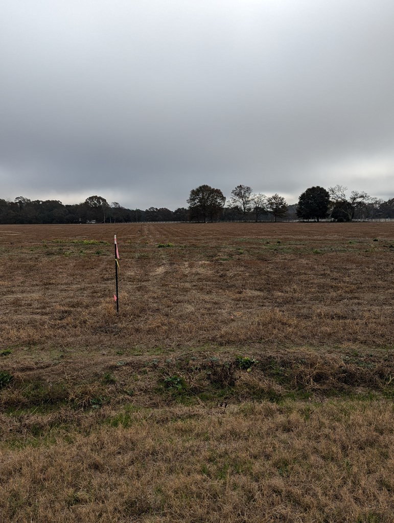 County Road 9, Headland, Alabama image 4