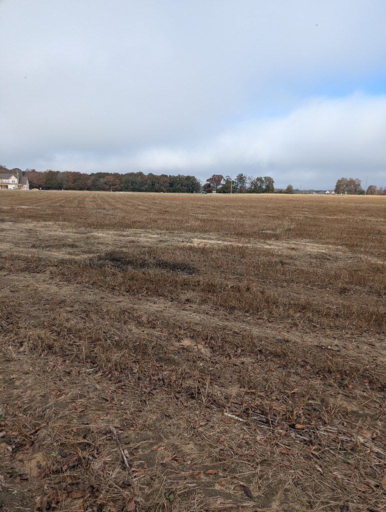 County Road 9, Headland, Alabama image 6