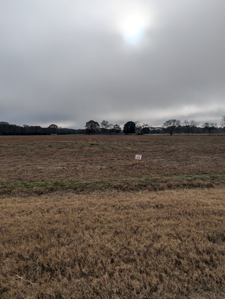 County Road 9, Headland, Alabama image 5