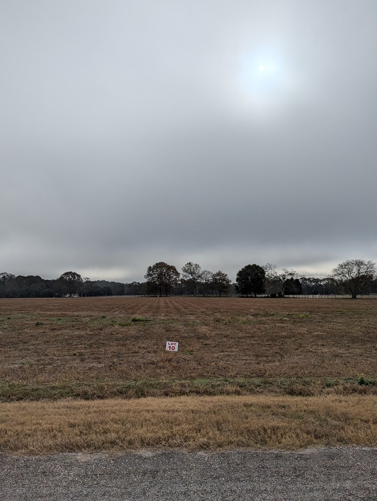 County Road 9, Headland, Alabama image 3
