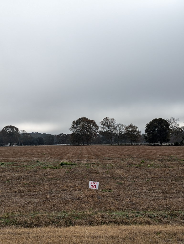 County Road 9, Headland, Alabama image 2
