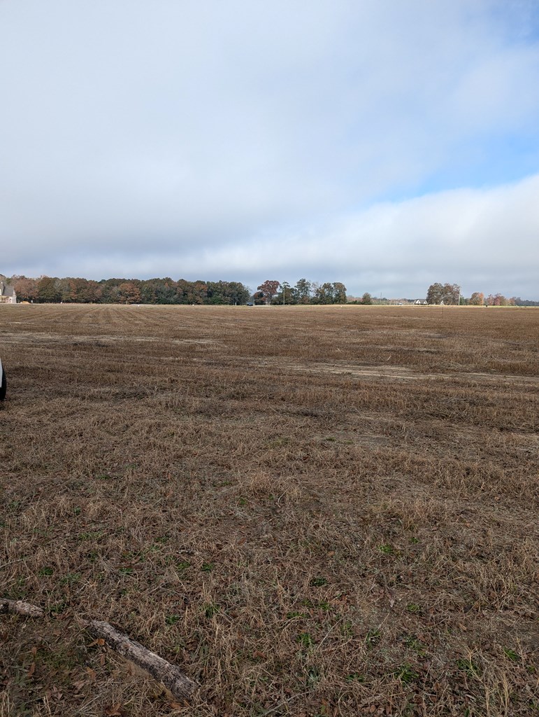 County Road 9, Headland, Alabama image 8
