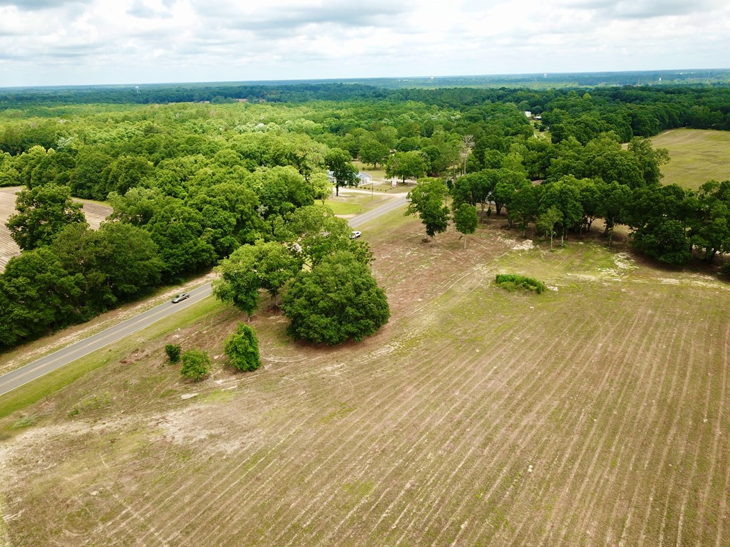 10 Acres Skyline Rd, Geneva, Alabama image 20