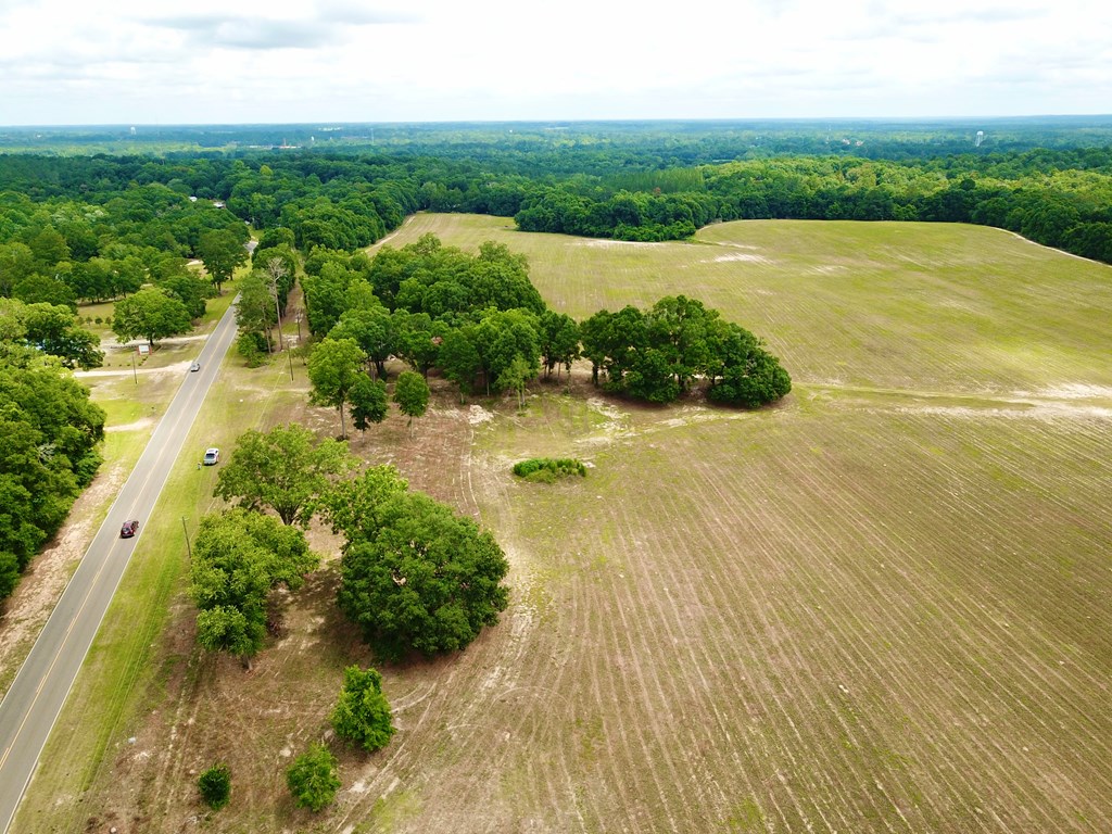 10 Acres Skyline Rd, Geneva, Alabama image 21