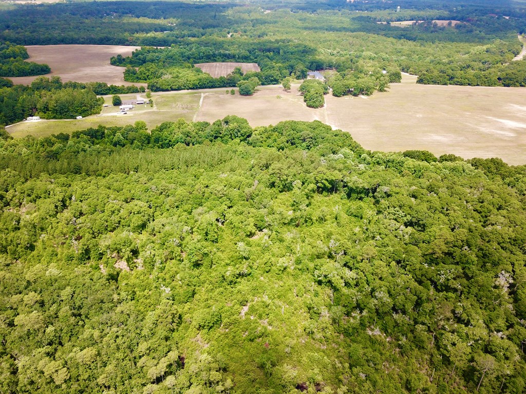 10 Acres Skyline Rd, Geneva, Alabama image 14