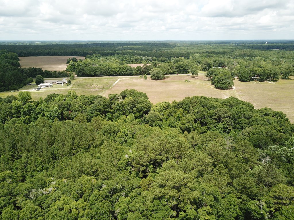 10 Acres Skyline Rd, Geneva, Alabama image 12