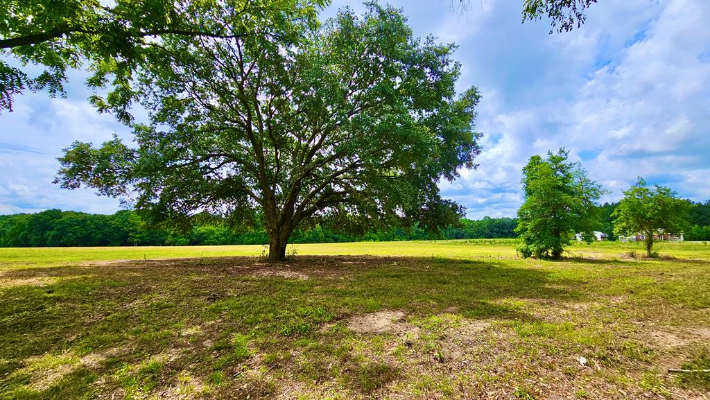 10 Acres Skyline Rd, Geneva, Alabama image 1