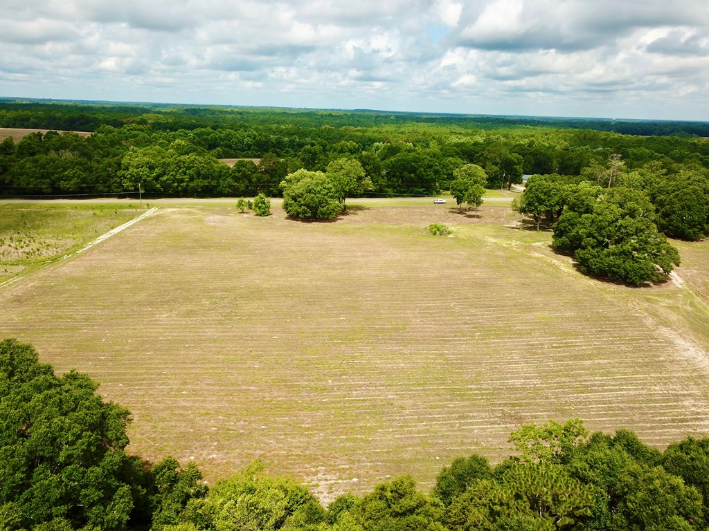 10 Acres Skyline Rd, Geneva, Alabama image 17