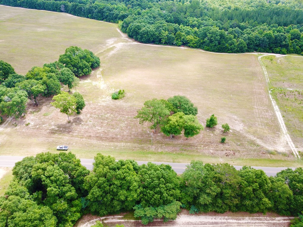 10 Acres Skyline Rd, Geneva, Alabama image 23