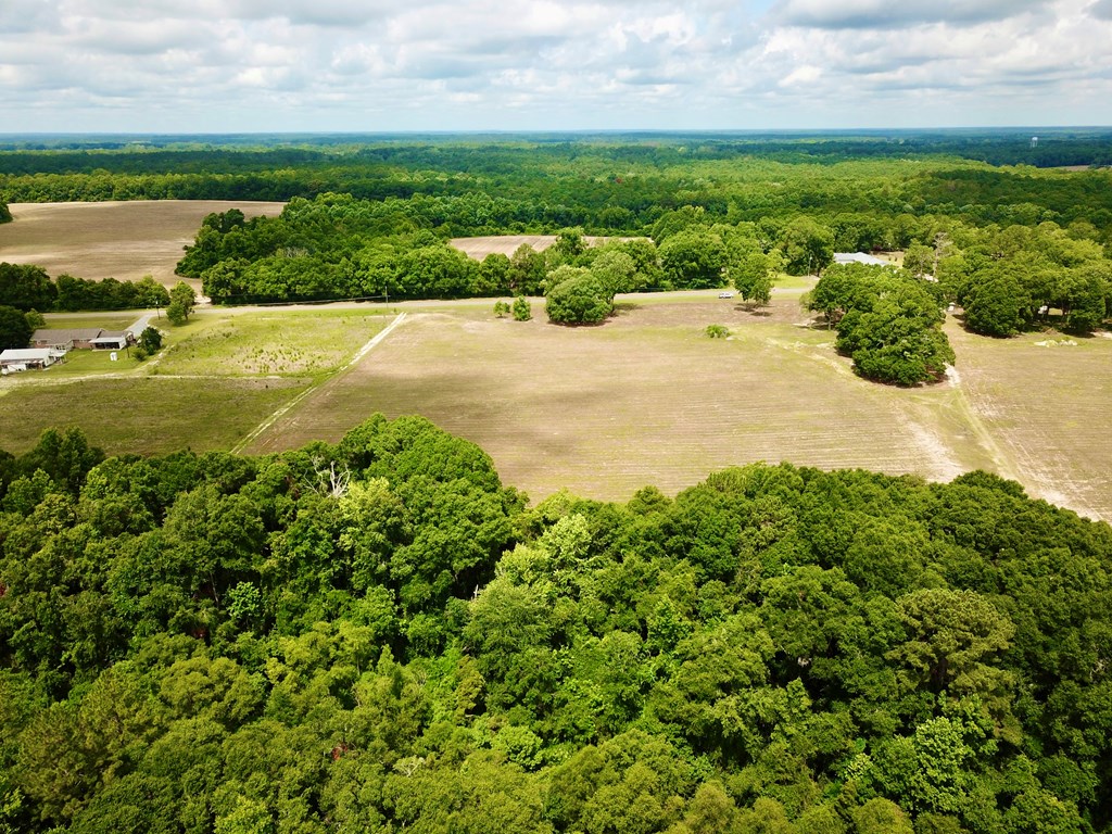 10 Acres Skyline Rd, Geneva, Alabama image 18