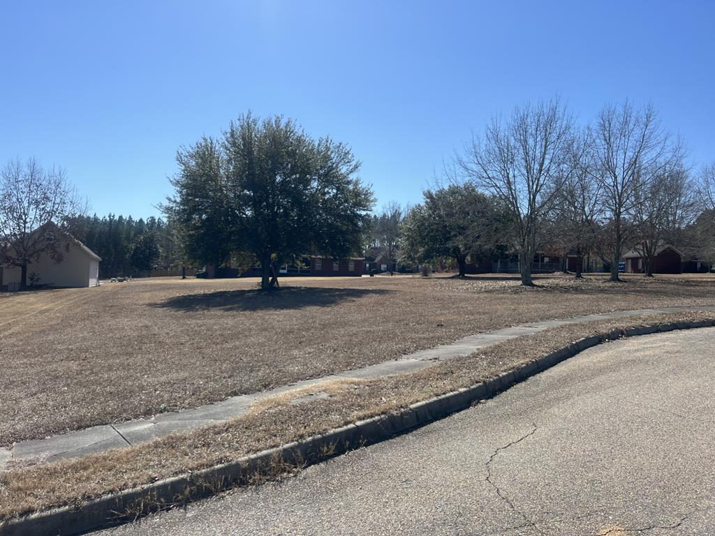 Dothan, Alabama 36301, United States, ,Land,Active,10159