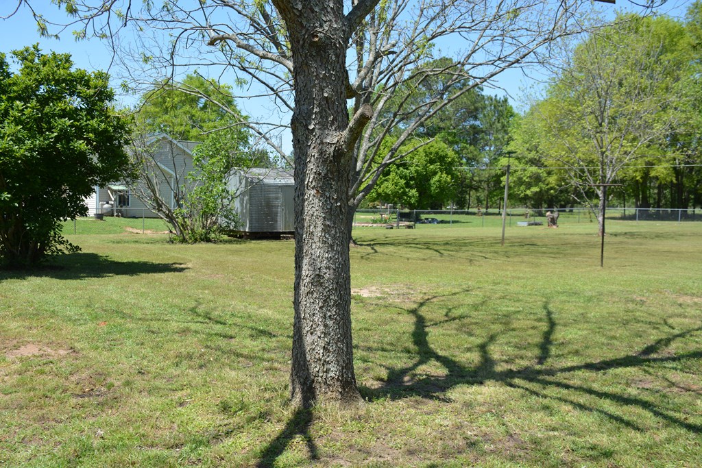 211 County Road 619, Enterprise, Alabama image 45