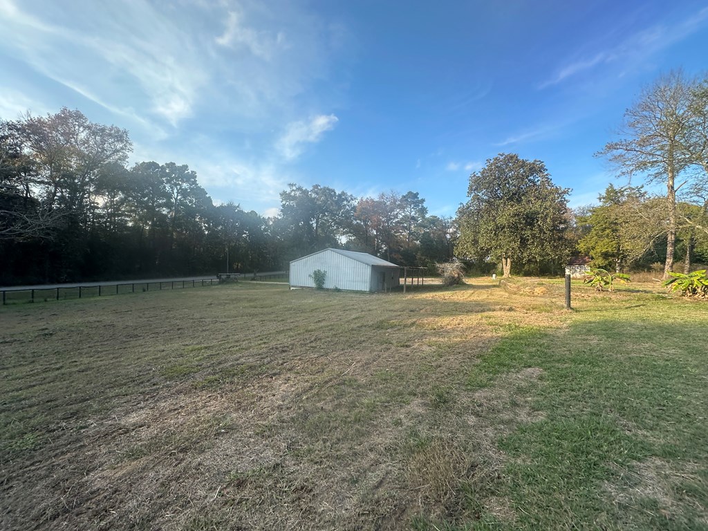 691 County Road 67, Midland City, Alabama image 3