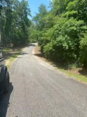 Englewood Dr, Abbeville, Alabama image 5