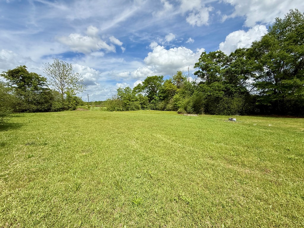 11362 S County Road 33, Dothan, Alabama image 23