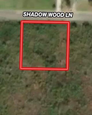 LOT 20 BLK C SHADOW WOODS LANE, OZARK, AL 36360 - Image 926df19d8bc63cfbe90fbdac5fb885c5/4149829086