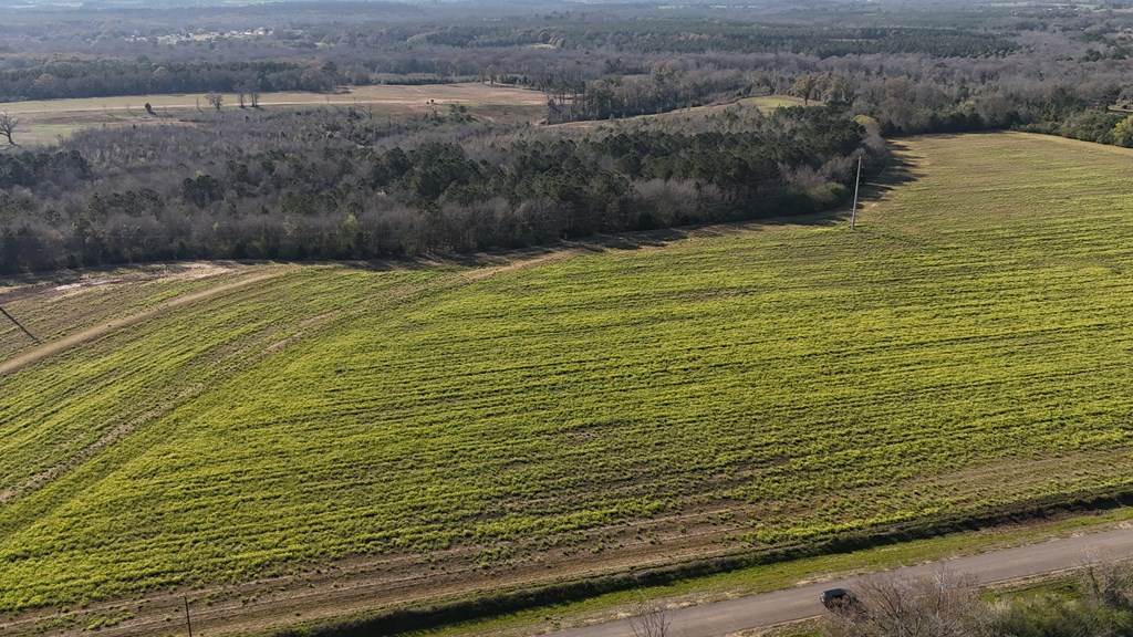 Lot 5 Gilley Mill Road, Webb, Alabama image 2