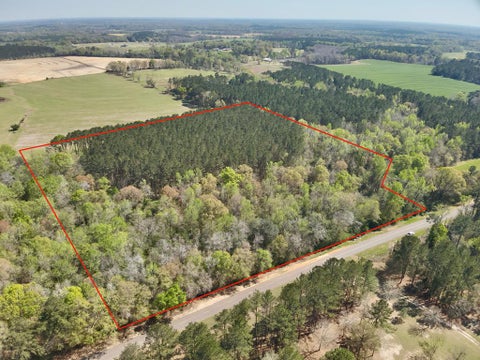 Vacant Land For Sale - 1015 Saint Mary Rd<br/> Houston County, Cottonwood, AL 36320