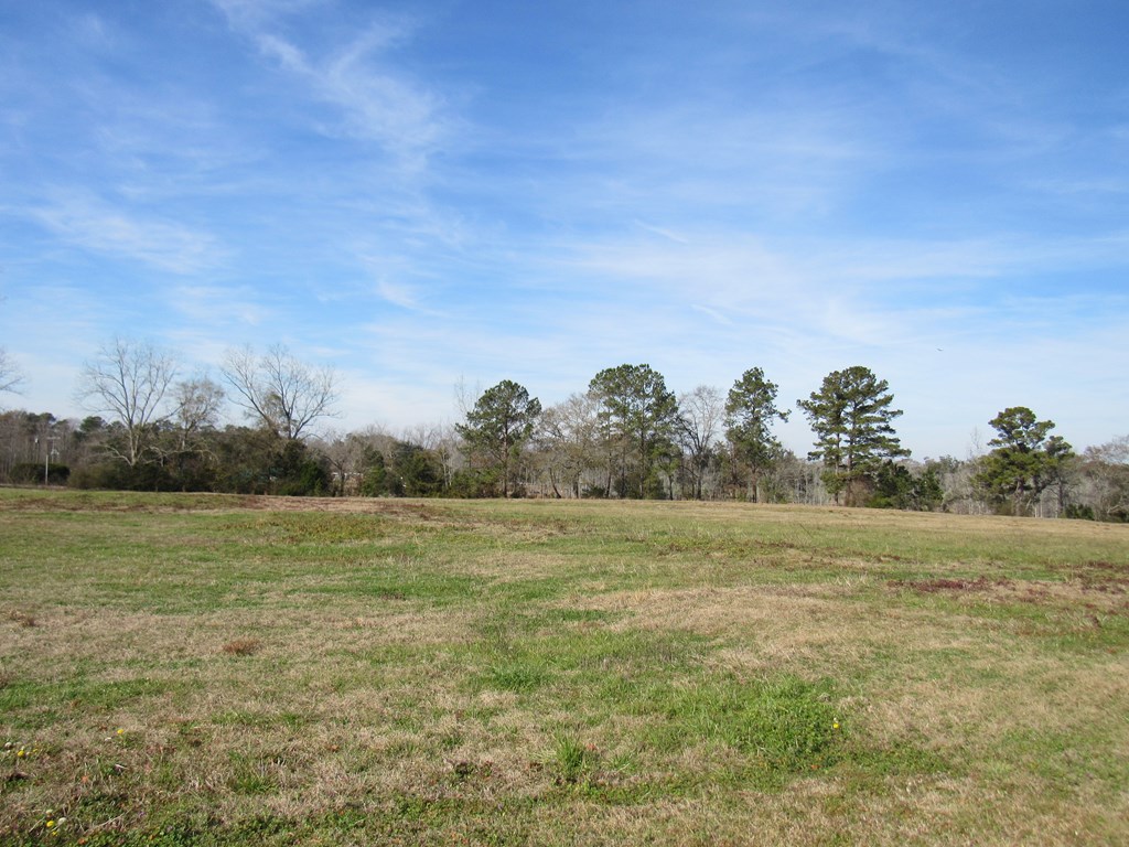 993 Broadway Ave, Ashford, Alabama image 3