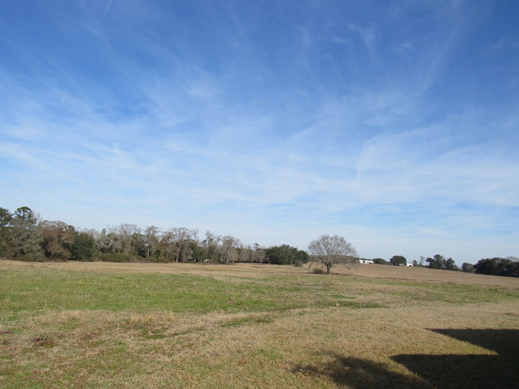 993 Broadway Ave, Ashford, Alabama image 6