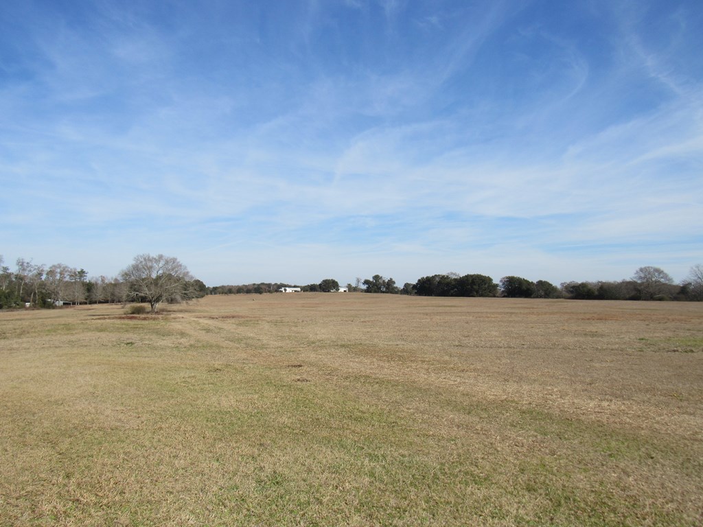993 Broadway Ave, Ashford, Alabama image 4