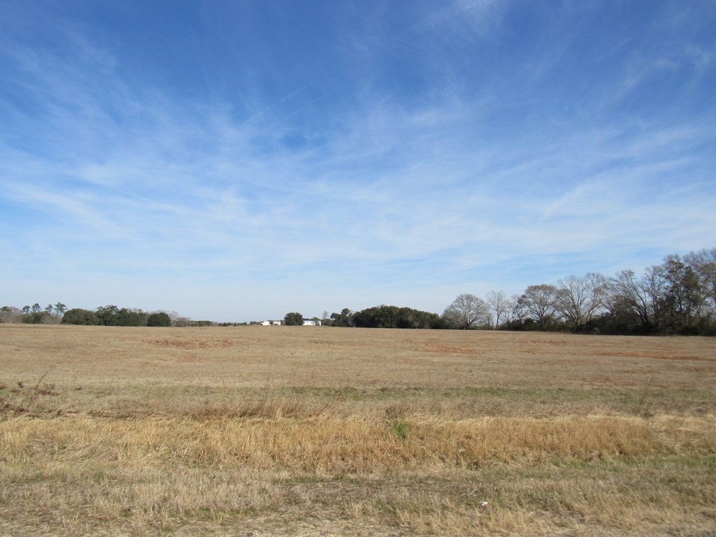 993 Broadway Ave, Ashford, Alabama image 5