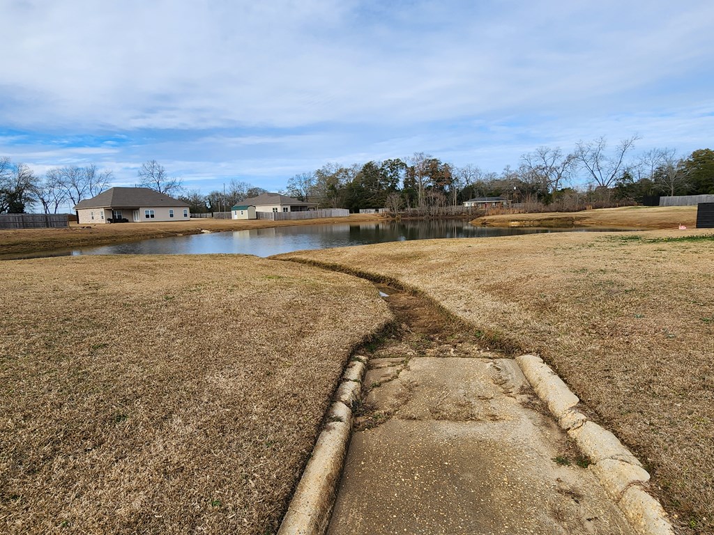 Delta St, Midland City, Alabama image 3