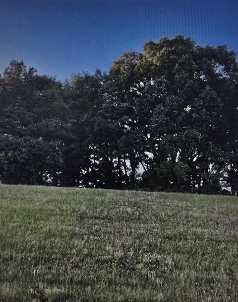 Vacant Land For Sale - W Boll Weevil Circle<br/> Enterprise, AL 36330