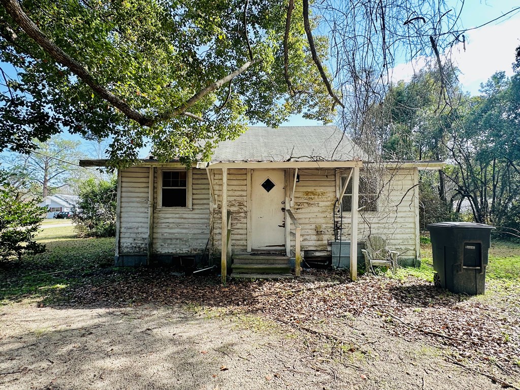 209 N Johnson St, Geneva, Alabama image 3