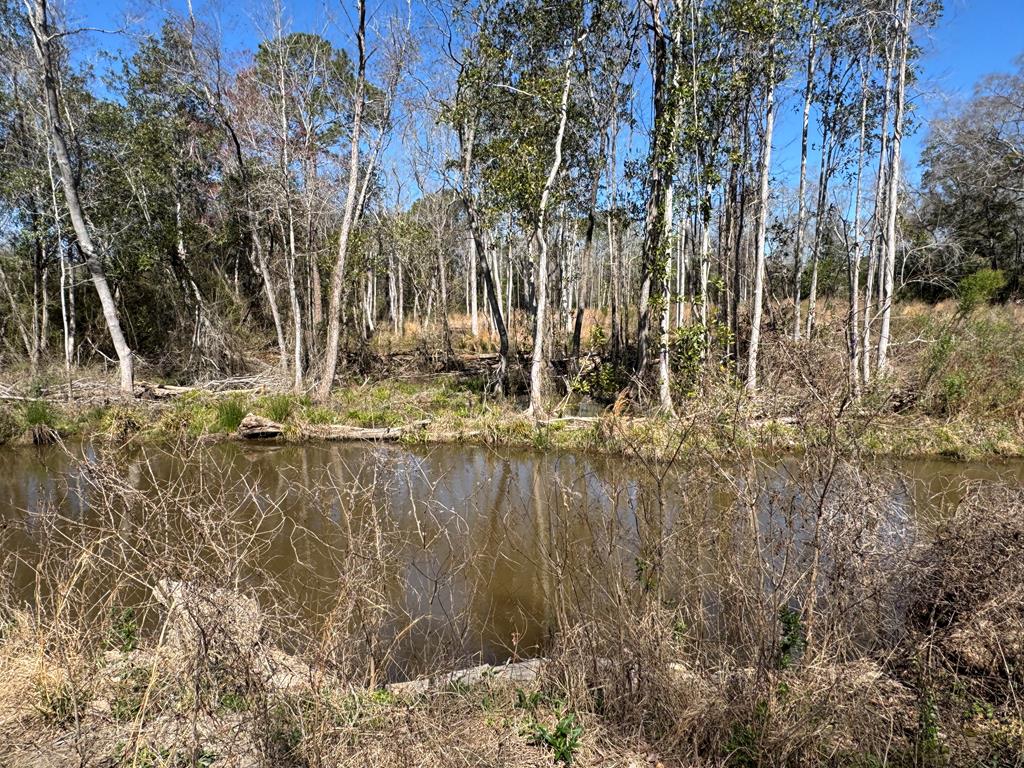 Pine Street, Slocomb, Alabama image 6