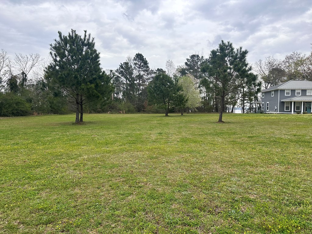 00 Highland Drive, Abbeville, Alabama image 2