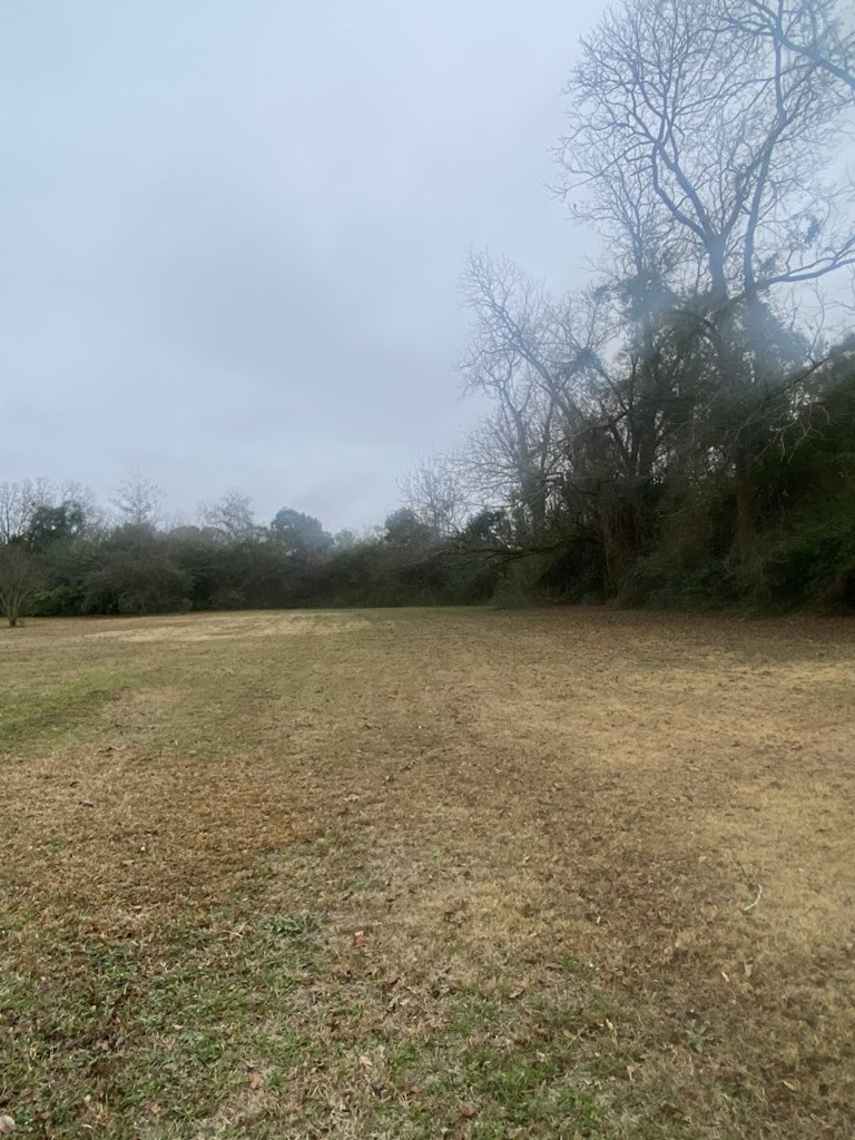 292 Dexter Street, Webb, Alabama image 10
