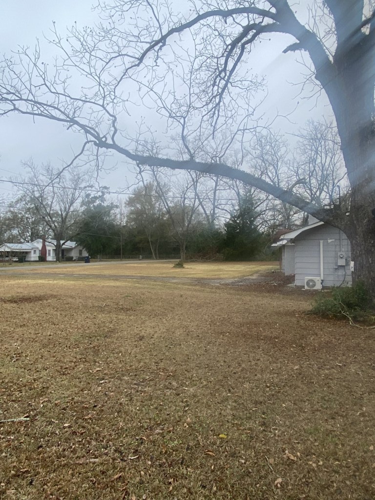 292 Dexter Street, Webb, Alabama image 12