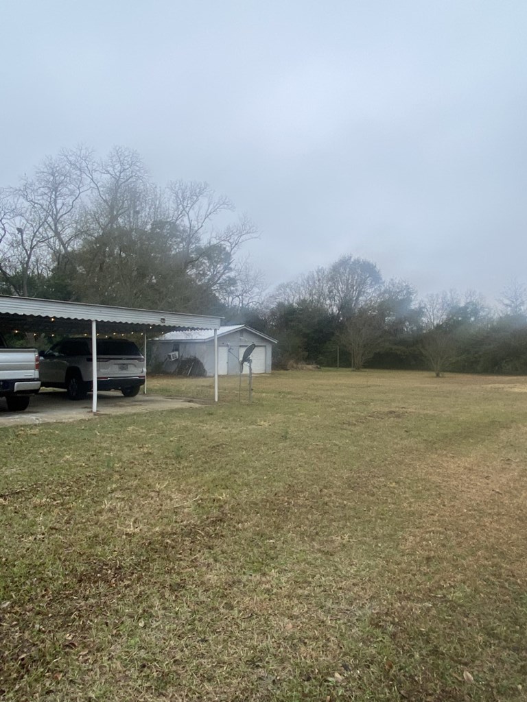 292 Dexter Street, Webb, Alabama image 13