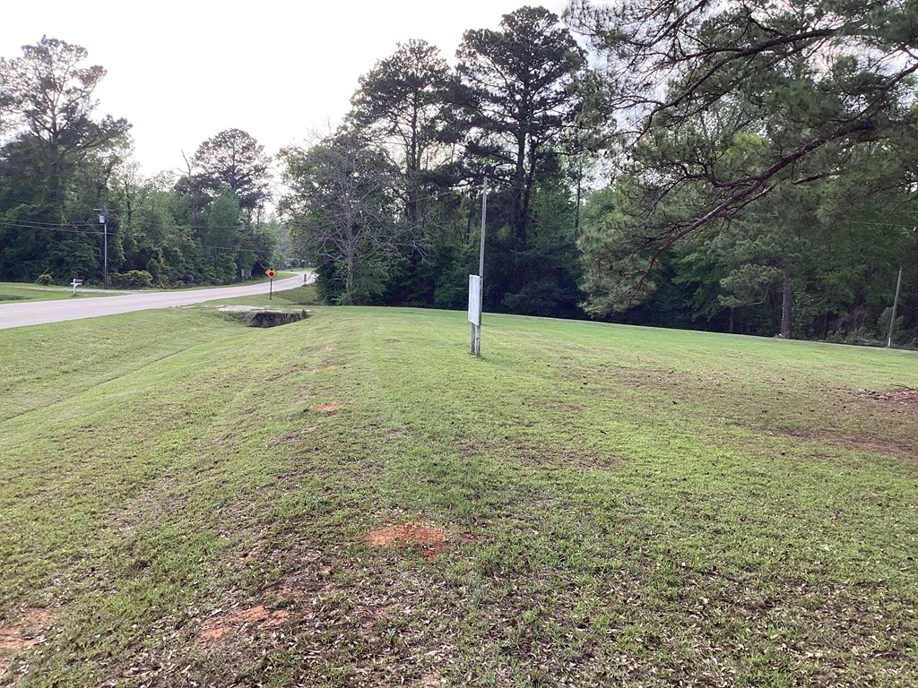5619 Lucy Grade Road, Ashford, Alabama image 5