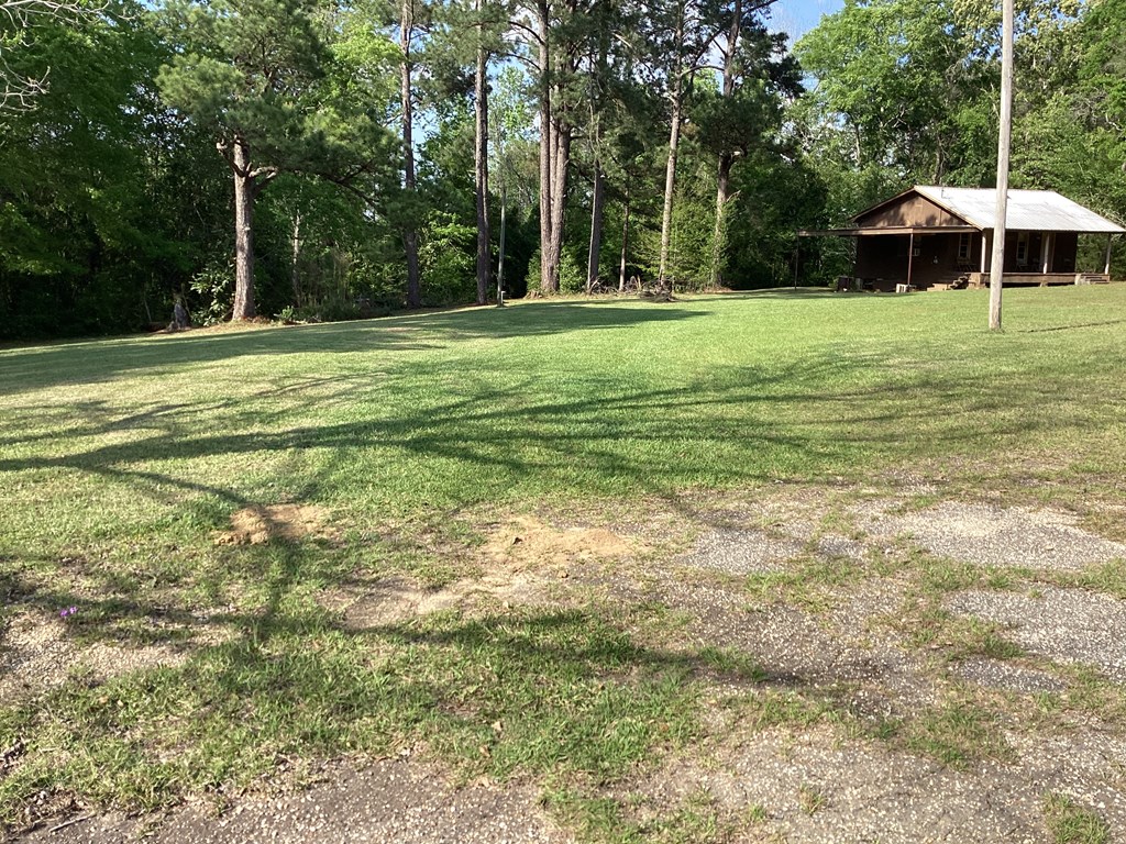 5619 Lucy Grade Road, Ashford, Alabama image 6