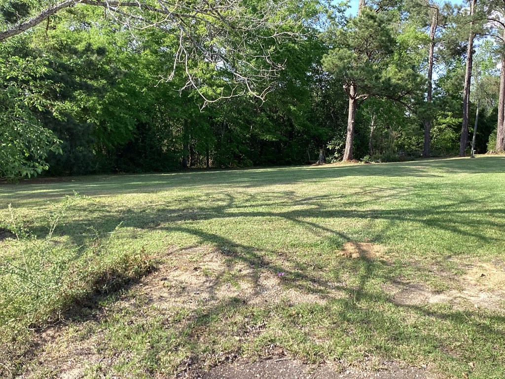5619 Lucy Grade Road, Ashford, Alabama image 7