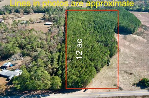 Vacant Land For Sale - County Rd 238<br/> Headland, AL 36345
