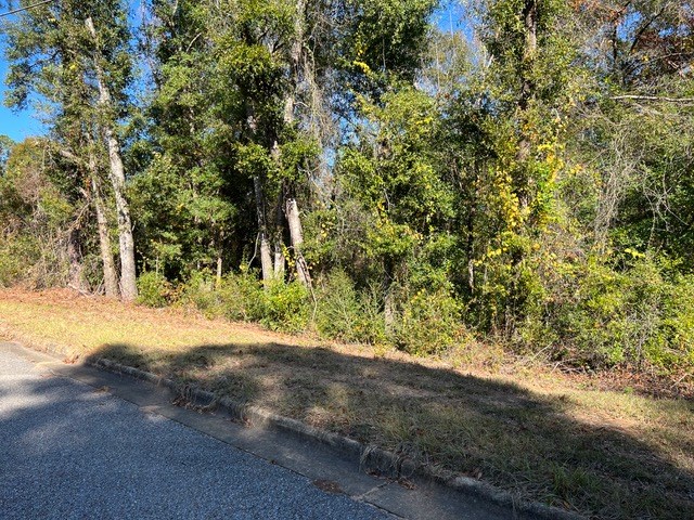 O Peachtree Drive, Dothan, Alabama image 4