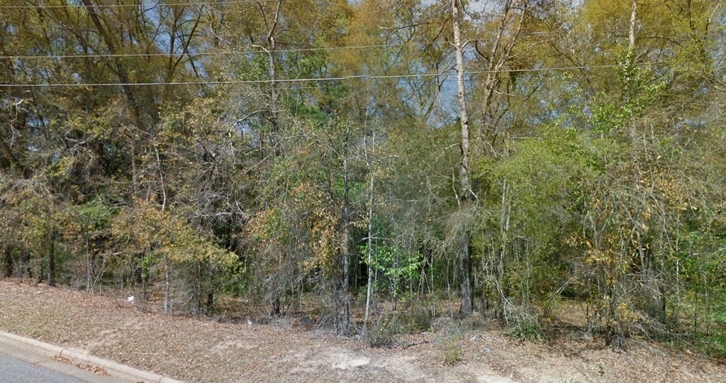 O Peachtree Drive, Dothan, Alabama image 3