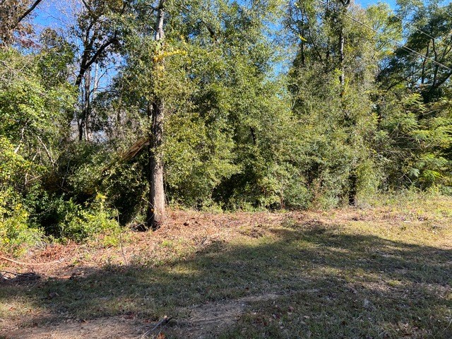 O Peachtree Drive, Dothan, Alabama image 5