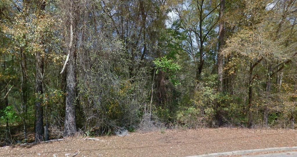 O Peachtree Drive, Dothan, Alabama image 6