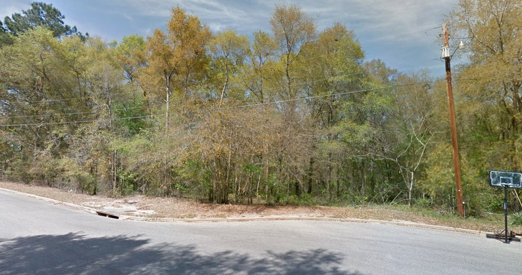 O Peachtree Drive, Dothan, Alabama image 2